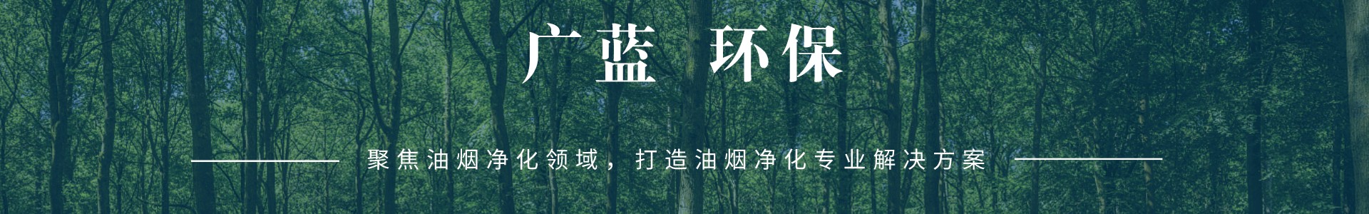 油煙凈化器設備_餐飲廚房油煙凈化設備工程廠家_深圳廣藍環保